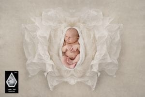 Award winning newborn baby photograph